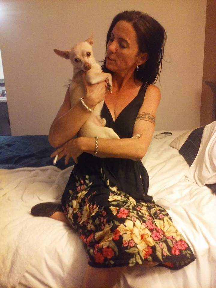 Lost Dog (Yucca Valley, California) Mooch