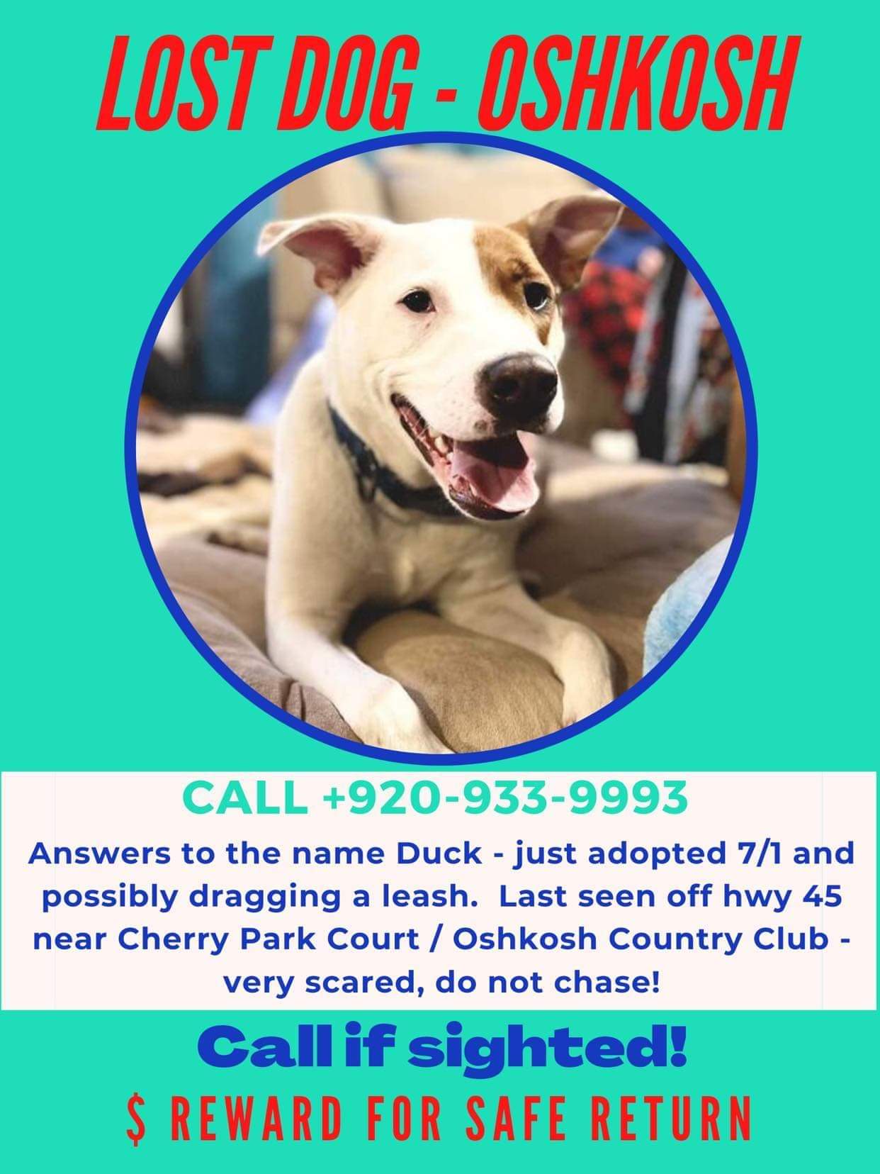 Lost Dog (Oshkosh, Wisconsin) Duck